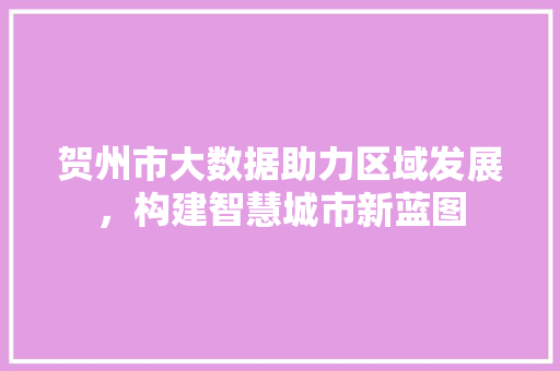 贺州市大数据助力区域发展，构建智慧城市新蓝图 GoogleSEO