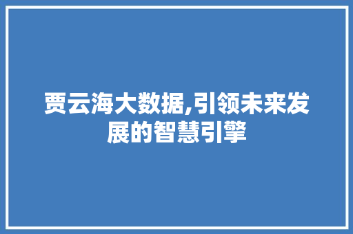 贾云海大数据,引领未来发展的智慧引擎 百度SEO