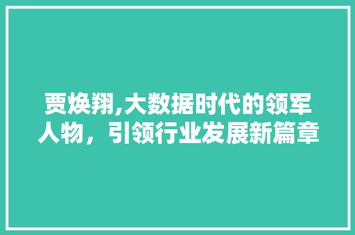 贾焕翔,大数据时代的领军人物，引领行业发展新篇章 百度SEO