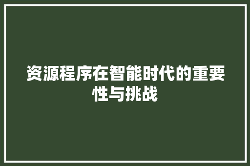 资源程序在智能时代的重要性与挑战 必应SEO