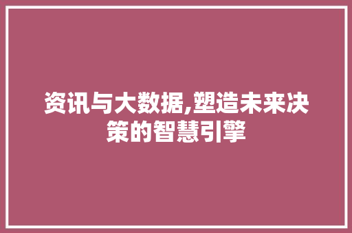 资讯与大数据,塑造未来决策的智慧引擎 必应SEO