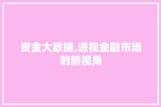 资金大数据,透视金融市场的新视角 神马SEO