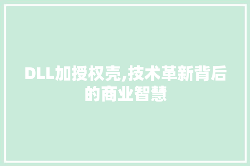 DLL加授权壳,技术革新背后的商业智慧 百度SEO