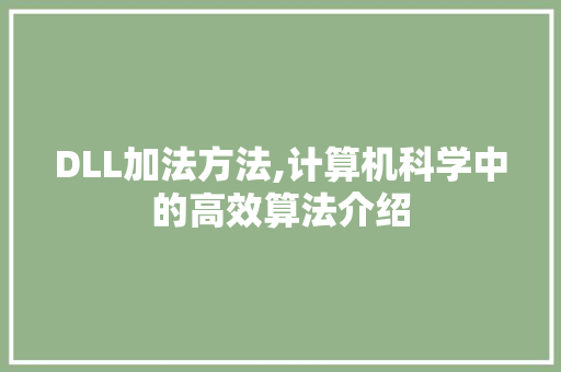 DLL加法方法,计算机科学中的高效算法介绍 神马SEO
