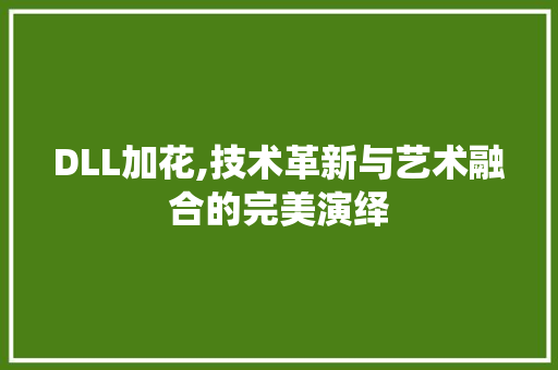DLL加花,技术革新与艺术融合的完美演绎 神马SEO