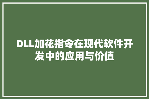 DLL加花指令在现代软件开发中的应用与价值 百度SEO
