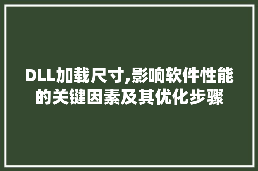 DLL加载尺寸,影响软件性能的关键因素及其优化步骤 搜狗SEO