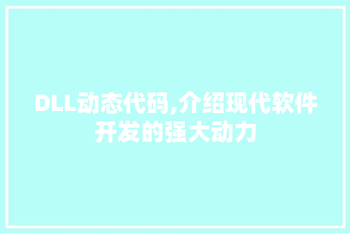 DLL动态代码,介绍现代软件开发的强大动力 GoogleSEO