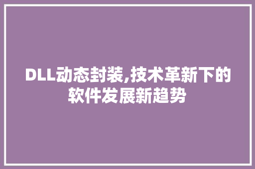 DLL动态封装,技术革新下的软件发展新趋势 GoogleSEO