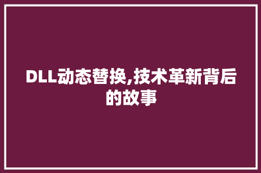 DLL动态替换,技术革新背后的故事 GoogleSEO