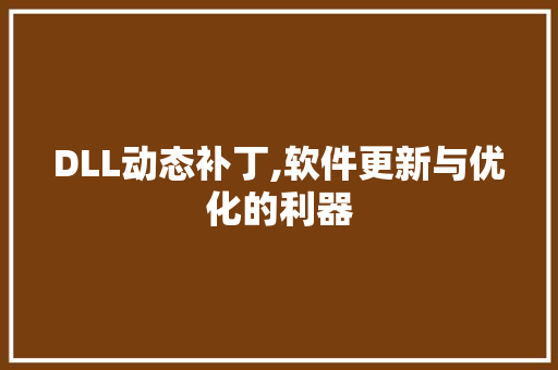 DLL动态补丁,软件更新与优化的利器 神马SEO