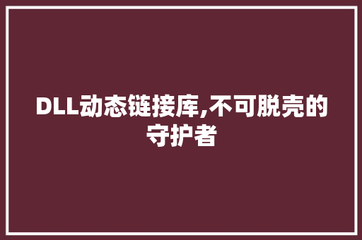 DLL动态链接库,不可脱壳的守护者 百度SEO