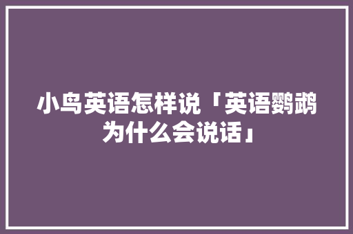 小鸟英语怎样说「英语鹦鹉为什么会说话」