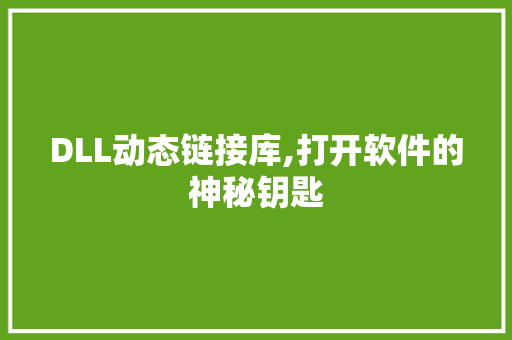 DLL动态链接库,打开软件的神秘钥匙 必应SEO