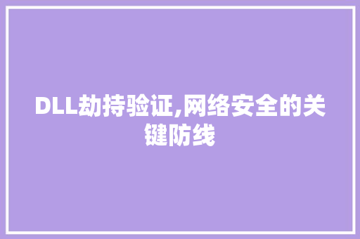 DLL劫持验证,网络安全的关键防线 搜狗SEO