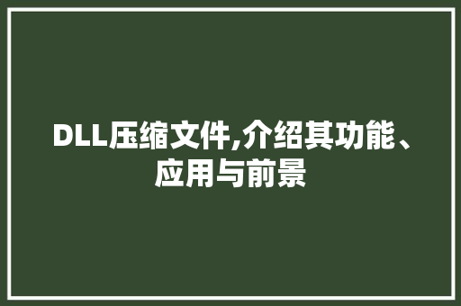 DLL压缩文件,介绍其功能、应用与前景 搜狗SEO