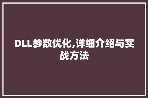 DLL参数优化,详细介绍与实战方法 百度SEO
