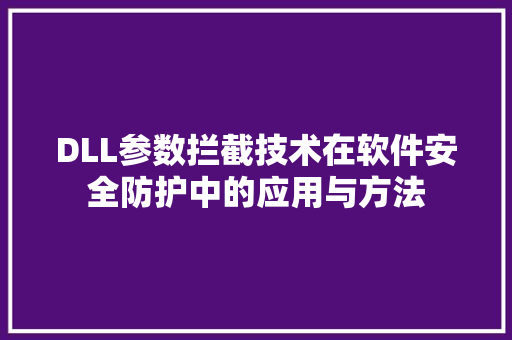 DLL参数拦截技术在软件安全防护中的应用与方法