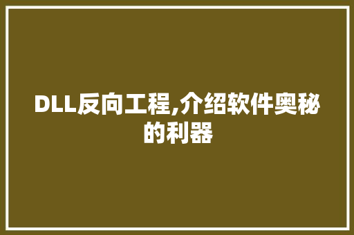 DLL反向工程,介绍软件奥秘的利器 GoogleSEO
