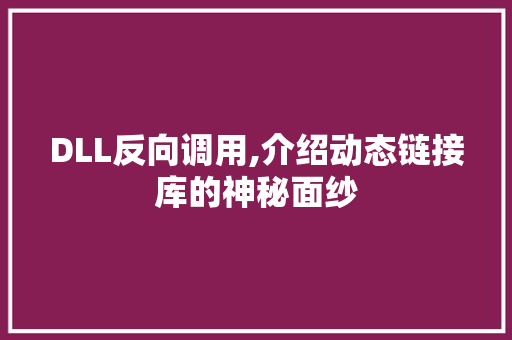 DLL反向调用,介绍动态链接库的神秘面纱 必应SEO
