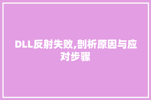 DLL反射失败,剖析原因与应对步骤