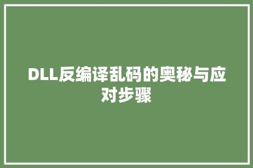 DLL反编译乱码的奥秘与应对步骤