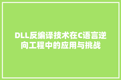 DLL反编译技术在C语言逆向工程中的应用与挑战
