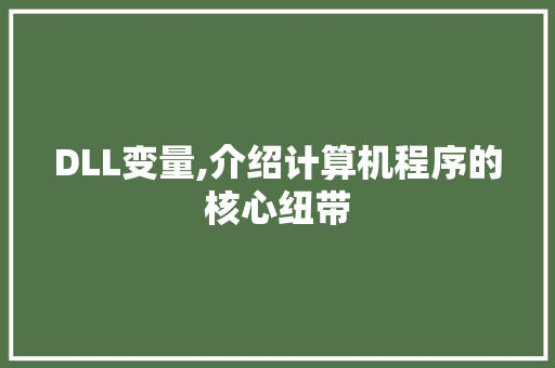 DLL变量,介绍计算机程序的核心纽带