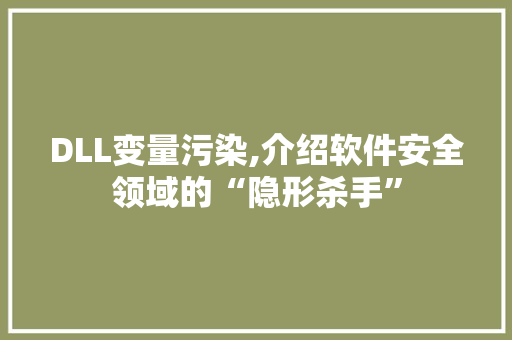 DLL变量污染,介绍软件安全领域的“隐形杀手”