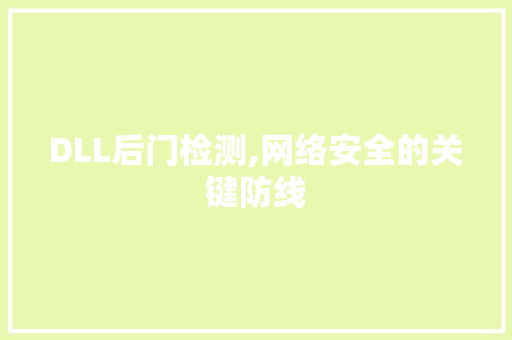 DLL后门检测,网络安全的关键防线