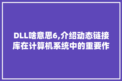 DLL啥意思6,介绍动态链接库在计算机系统中的重要作用