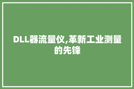 DLL器流量仪,革新工业测量的先锋