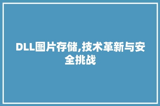 DLL图片存储,技术革新与安全挑战 神马SEO
