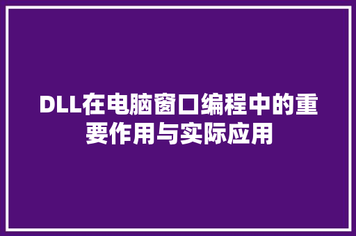 DLL在电脑窗口编程中的重要作用与实际应用 必应SEO
