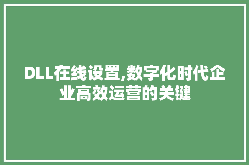 DLL在线设置,数字化时代企业高效运营的关键 百度SEO