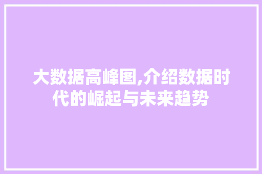 大数据高峰图,介绍数据时代的崛起与未来趋势 神马SEO