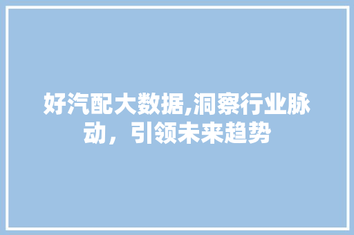 好汽配大数据,洞察行业脉动，引领未来趋势 神马SEO