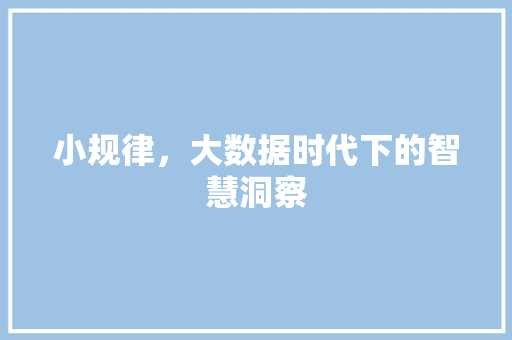 小规律，大数据时代下的智慧洞察 百度SEO
