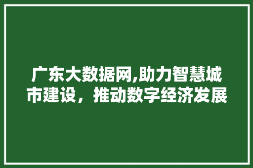 广东大数据网,助力智慧城市建设，推动数字经济发展 搜狗SEO