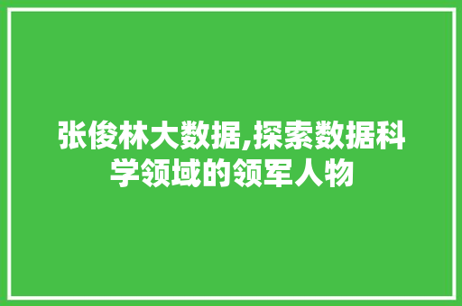 张俊林大数据,探索数据科学领域的领军人物 必应SEO