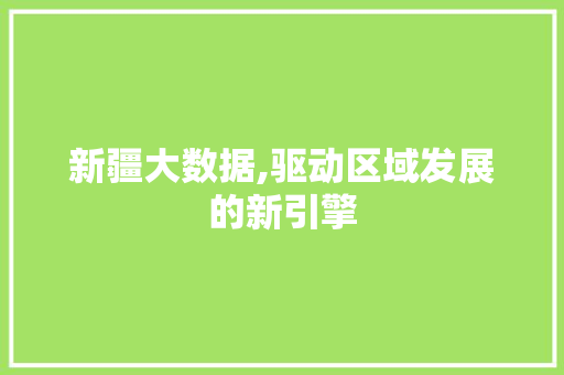 新疆大数据,驱动区域发展的新引擎 百度SEO