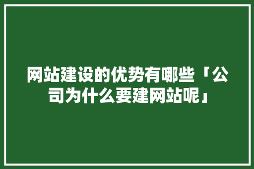 网站建设的优势有哪些「公司为什么要建网站呢」 网站建设的优势有哪些「公司为什么要建网站呢」 神马SEO