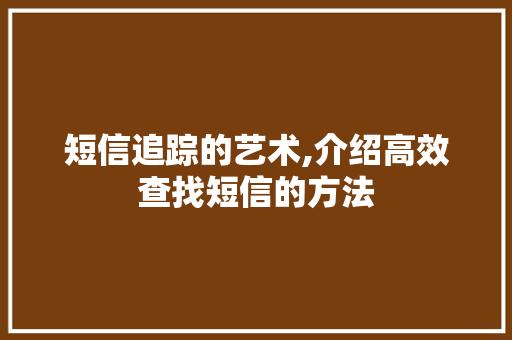 短信追踪的艺术,介绍高效查找短信的方法 GoogleSEO