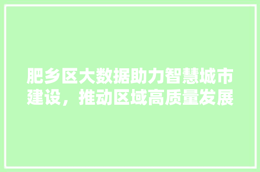 肥乡区大数据助力智慧城市建设，推动区域高质量发展 必应SEO