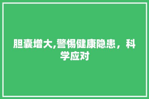 胆囊增大,警惕健康隐患，科学应对 GoogleSEO