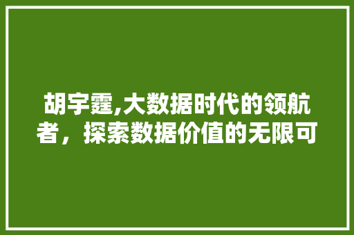 胡宇霆,大数据时代的领航者，探索数据价值的无限可能 GoogleSEO