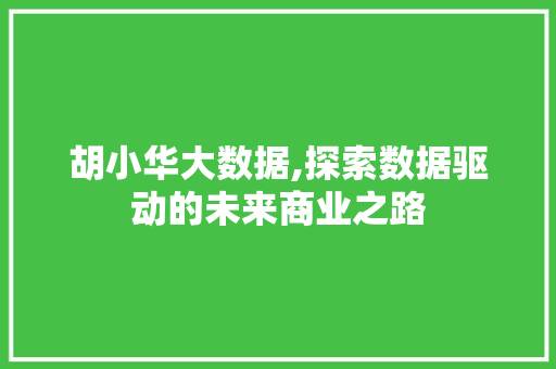 胡小华大数据,探索数据驱动的未来商业之路 GoogleSEO