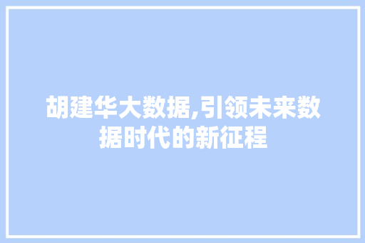 胡建华大数据,引领未来数据时代的新征程 必应SEO