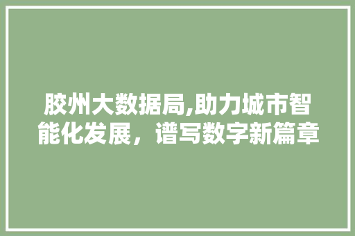 胶州大数据局,助力城市智能化发展，谱写数字新篇章 百度SEO