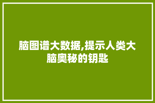 脑图谱大数据,提示人类大脑奥秘的钥匙